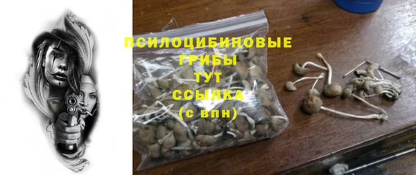 кокс Аркадак