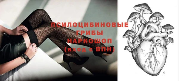 стаф Армянск
