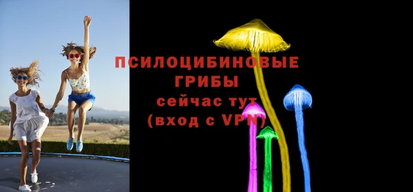 стаф Армянск