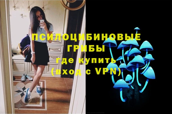 кокс Аркадак
