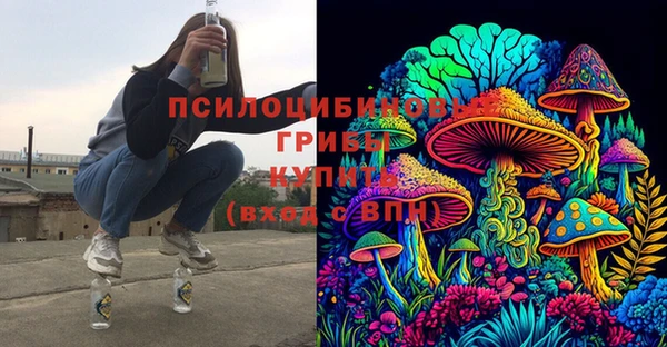 кокс Аркадак