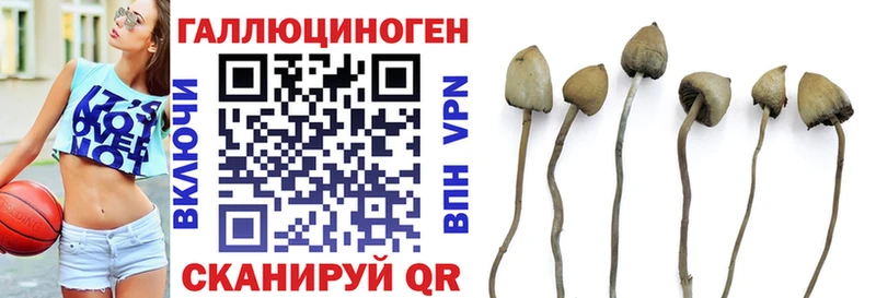закладка  Кашин  hydra маркетплейс  Галлюциногенные грибы Magic Shrooms 